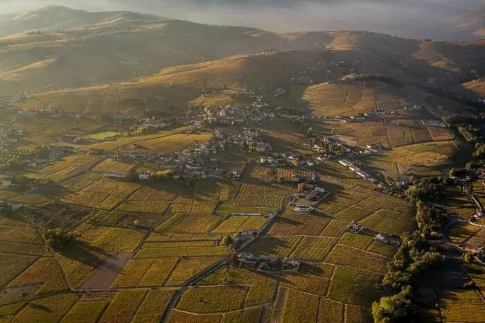 A la découverte des vins du Beaujolais Du 7 au 28 sept 2024