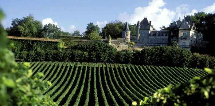 Les portes ouvertes en Fronsac et Canon Fronsac Du 26 au 27 oct 2024