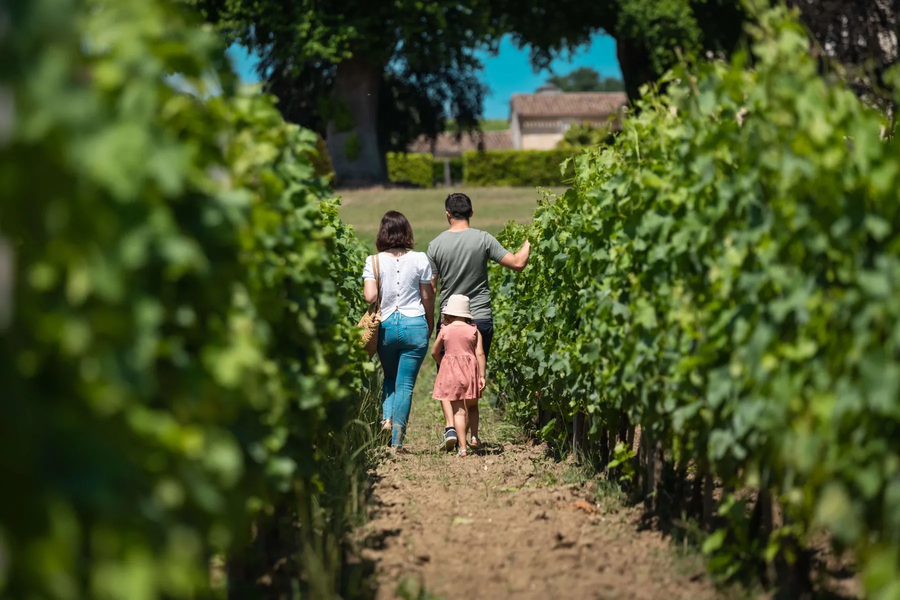 Visiter un vignoble le dimanche