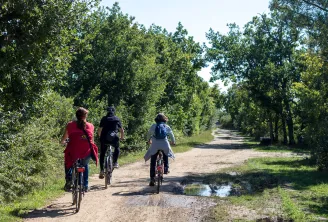 tour de poney gironde